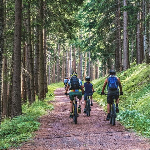 На великах по Карелии | Adventurity