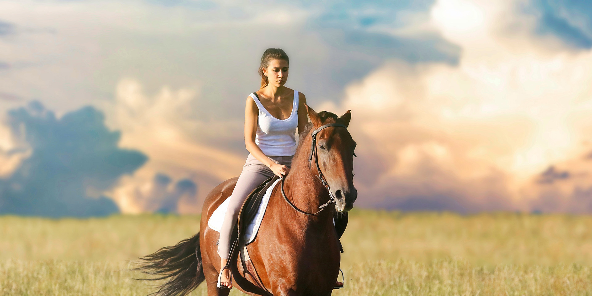 Banner Street advertising horseback riding