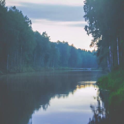Сплав по реке Ушна
